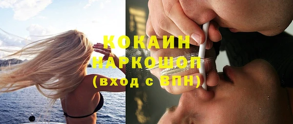 тгк Богородицк