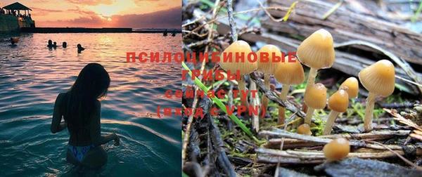 тгк Богородицк