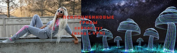 тгк Богородицк