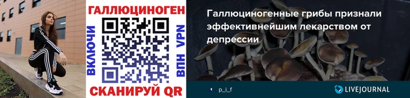 shop официальный сайт  Туран  Галлюциногенные грибы мухоморы 